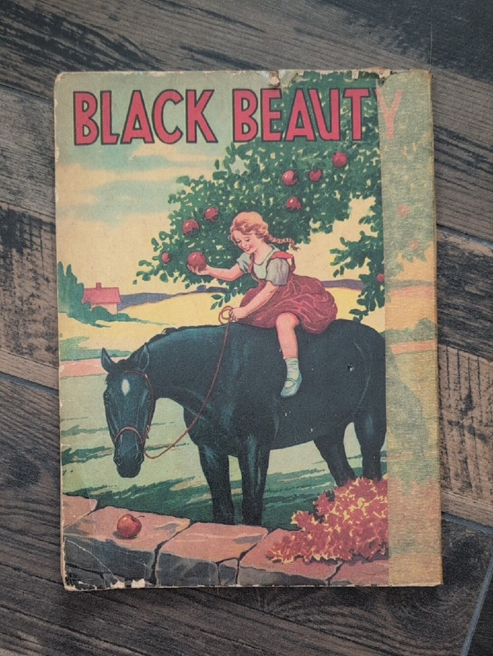 Black Beauty 1920's Vintage Antique Children Book Retro Cover Illustration Rare - Picture 3 of 14